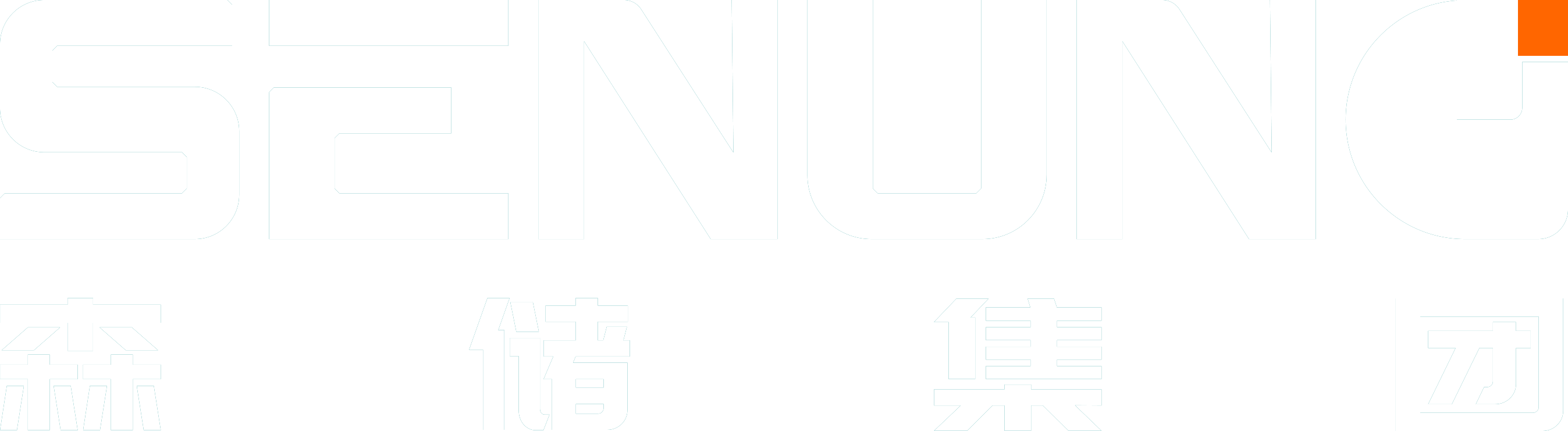 森储集团